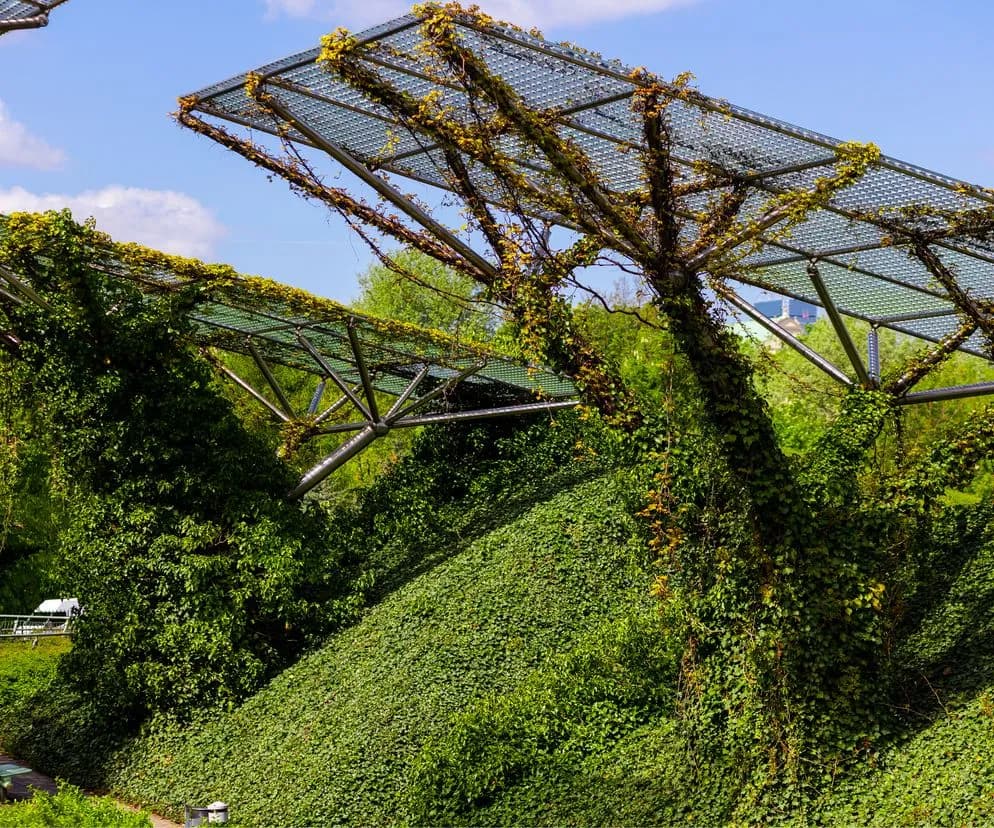 Jak zrobić trawę na dachu - uniknij najczęstszych błędów i kosztów